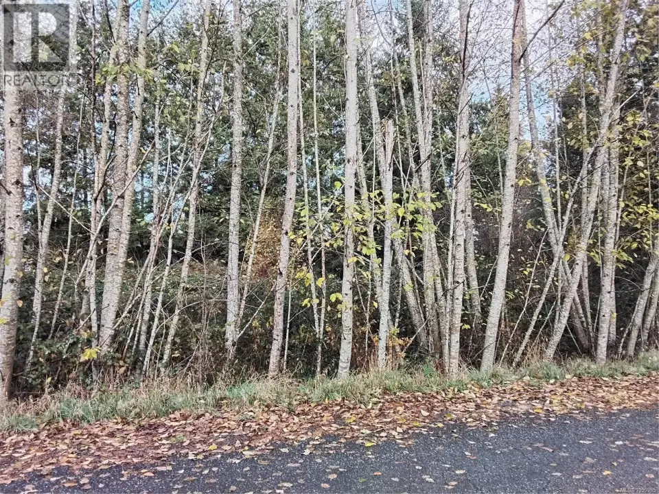Lot E Tatton Rd, Courtenay